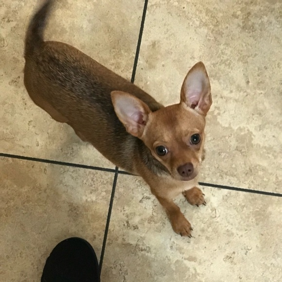 Meet your Posher, Carolyn - Picture 4 of 4